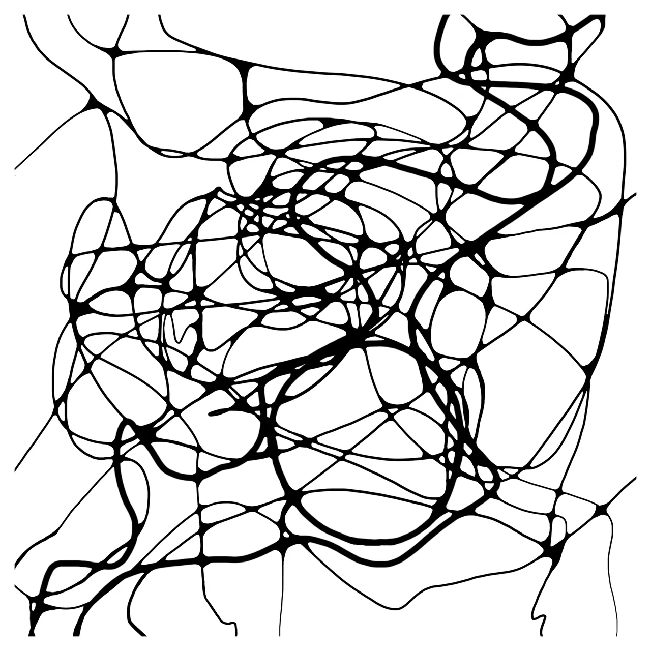 A finished drawing: a dense web of flowing lines, every crossing rounded into a smooth joint