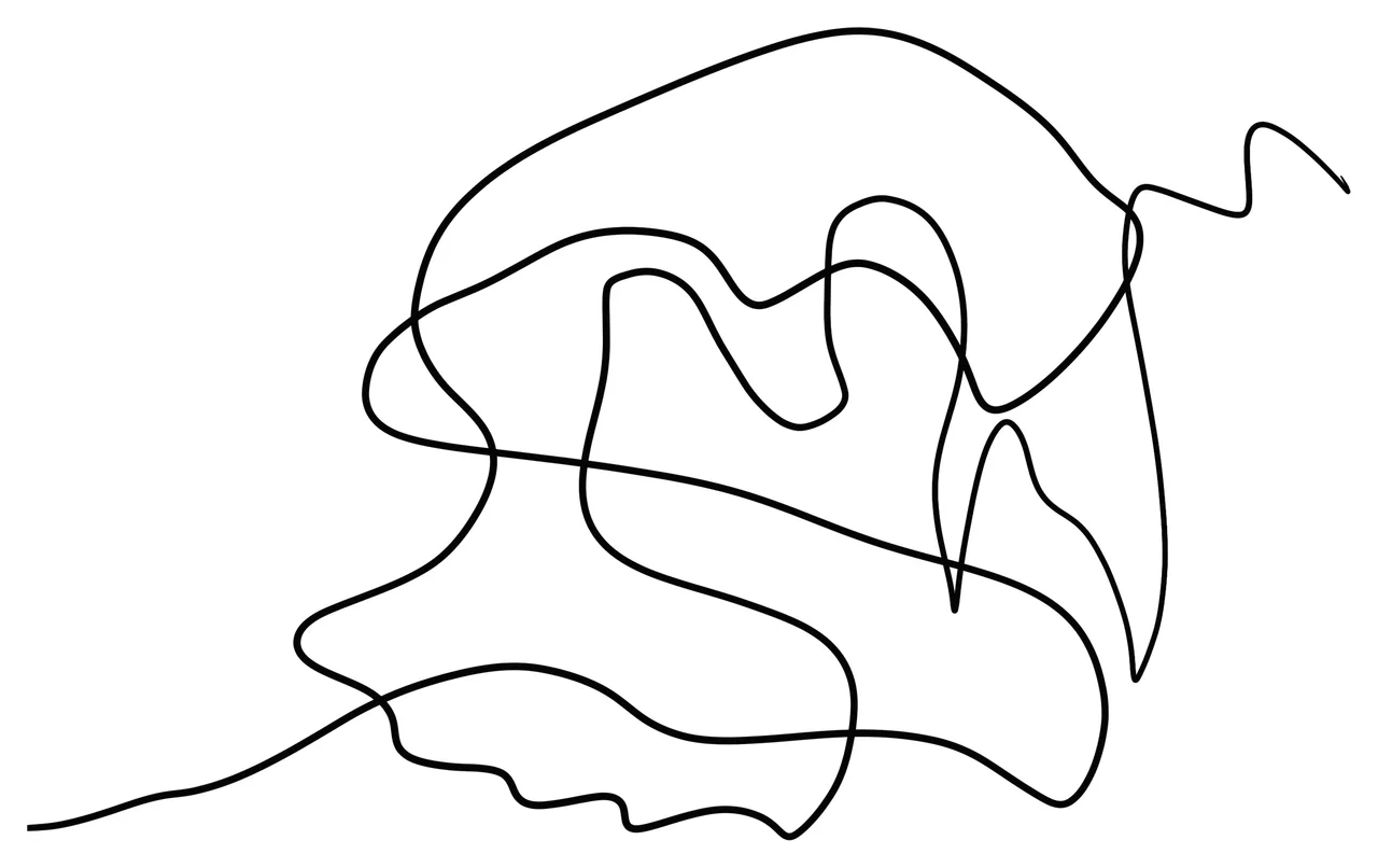 Practice template one: a single wandering line crossing itself, no corners rounded